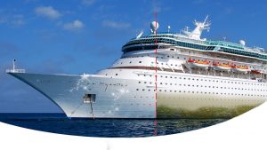 پوشش ضد خزه با قابلیت محافظت 5 ساله